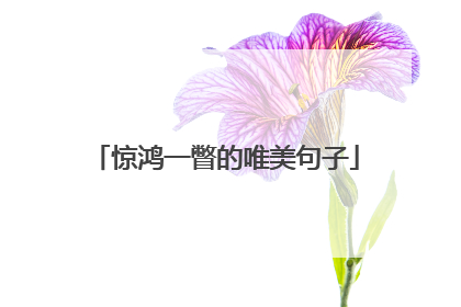 惊鸿一瞥的唯美句子