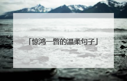 惊鸿一瞥的温柔句子