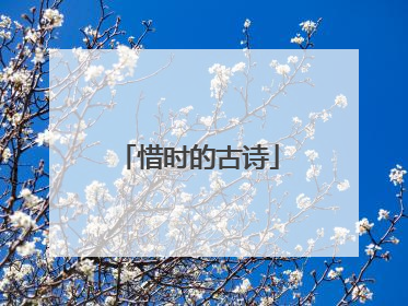 惜时的古诗