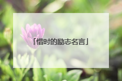 惜时的励志名言