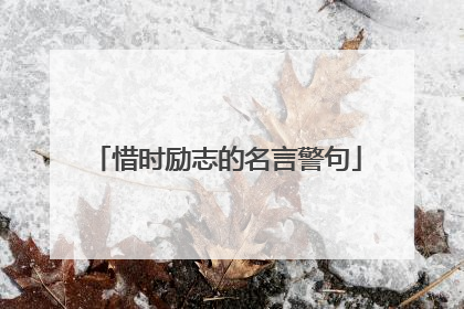 惜时励志的名言警句