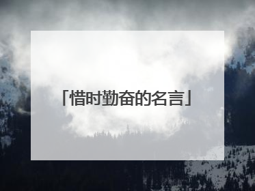 惜时勤奋的名言