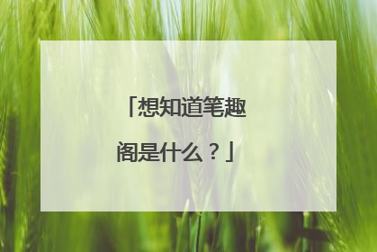 想知道笔趣阁是什么?