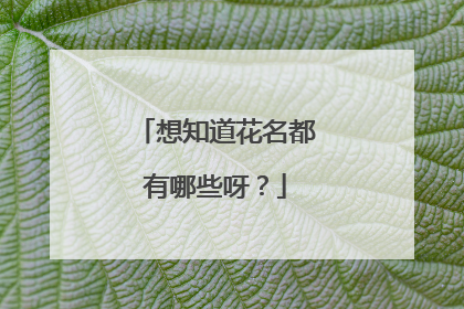 想知道花名都有哪些呀？