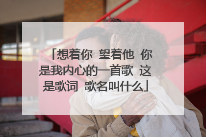 想着你 望着他 你是我内心的一首歌 这是歌词 歌名叫什么