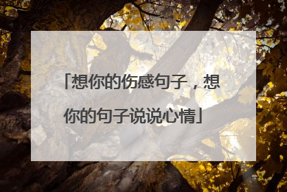 想你的伤感句子,想你的句子说说心情