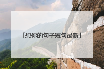 想你的句子短句最新