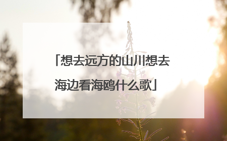 想去远方的山川想去海边看海鸥什么歌