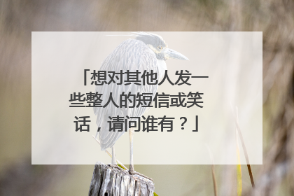 想对其他人发一些整人的短信或笑话,请问谁有?