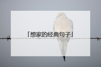 想家的经典句子