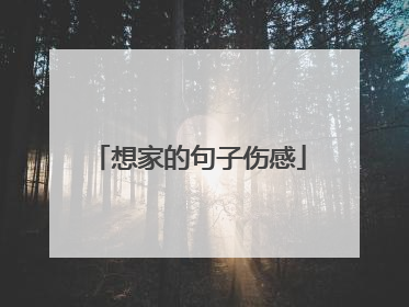 想家的句子伤感