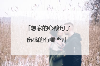 想家的心酸句子伤感的有哪些?