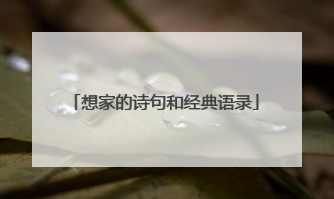 想家的诗句和经典语录