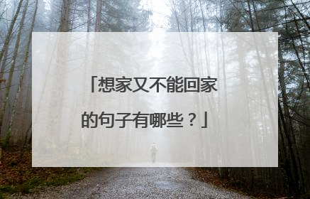 想家又不能回家的句子有哪些？