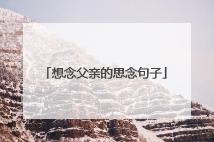 想念父亲的思念句子