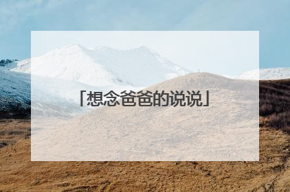 想念爸爸的说说