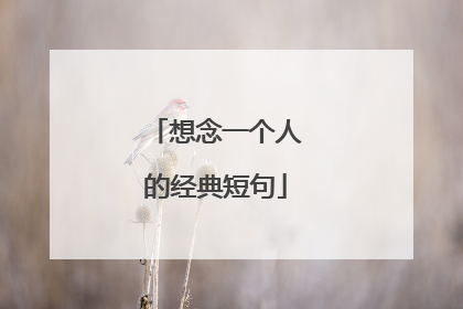 想念一个人的经典短句