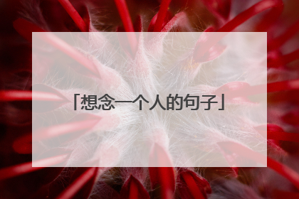 想念一个人的句子