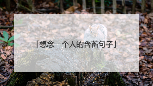 想念一个人的含蓄句子