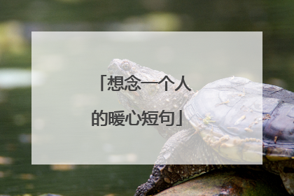 想念一个人的暖心短句