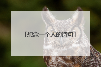 想念一个人的诗句