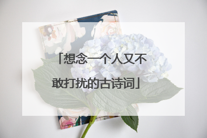 想念一个人又不敢打扰的古诗词