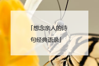 想念亲人的诗句经典语录