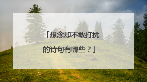想念却不敢打扰的诗句有哪些？