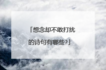 想念却不敢打扰的诗句有哪些?