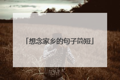 想念家乡的句子简短