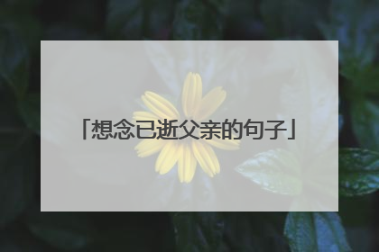 想念已逝父亲的句子