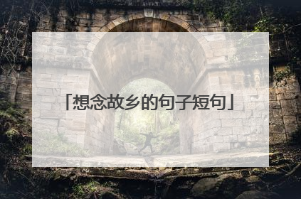 想念故乡的句子短句