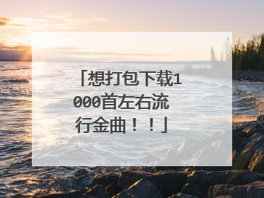 想打包下载1000首左右流行金曲！！