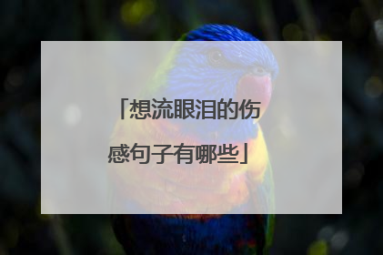 想流眼泪的伤感句子有哪些