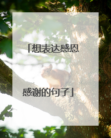 想表达感恩感谢的句子