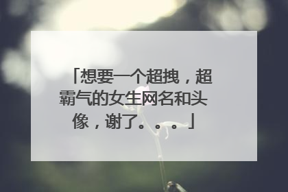 想要一个超拽,超霸气的女生网名和头像,谢了。。。