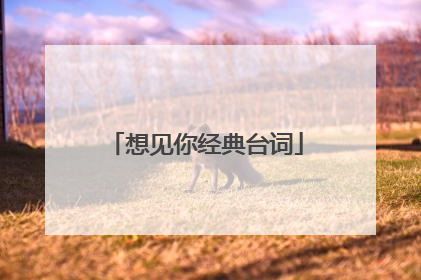 想见你经典台词