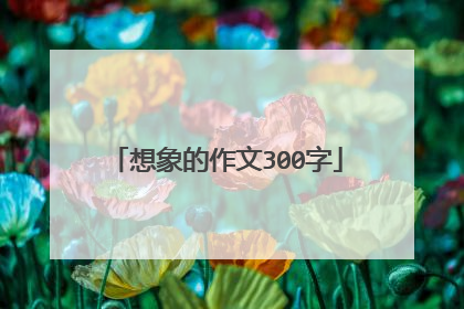 想象的作文300字