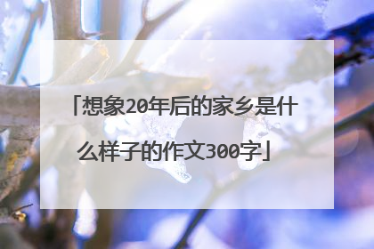 想象20年后的家乡是什么样子的作文300字