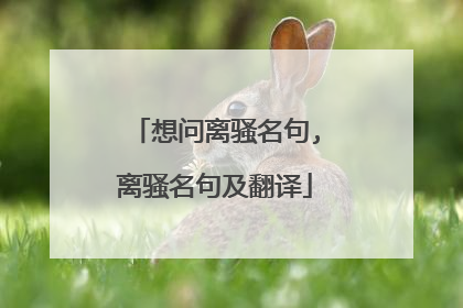 想问离骚名句,离骚名句及翻译