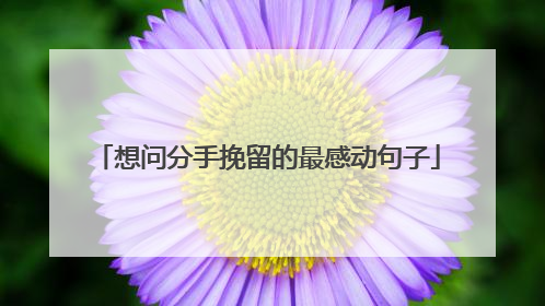 想问分手挽留的最感动句子