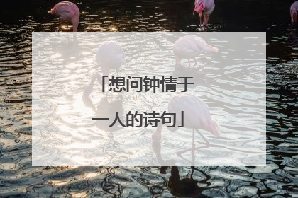 想问钟情于一人的诗句