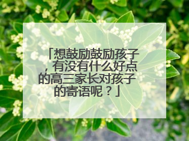 想鼓励鼓励孩子,有没有什么好点的高三家长对孩子的寄语呢?