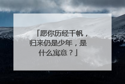 愿你历经千帆，归来仍是少年，是什么寓意？