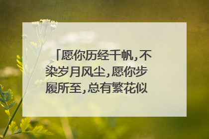 愿你历经千帆,不染岁月风尘,愿你步履所至,总有繁花似锦什么意思