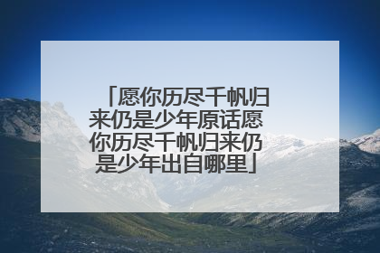 愿你历尽千帆归来仍是少年原话愿你历尽千帆归来仍是少年出自哪里