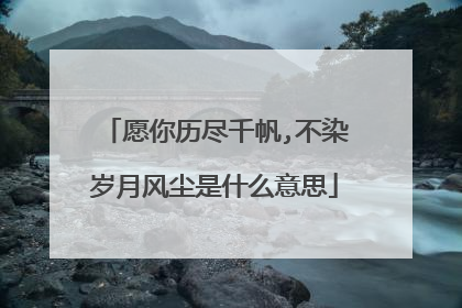 愿你历尽千帆,不染岁月风尘是什么意思