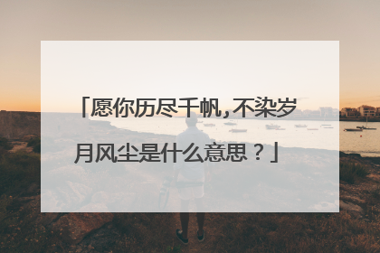 愿你历尽千帆,不染岁月风尘是什么意思?