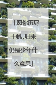 愿你历尽千帆,归来仍是少年什么意思