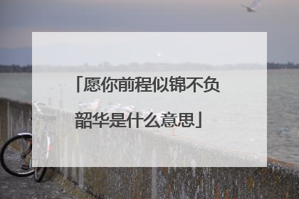 愿你前程似锦不负韶华是什么意思
